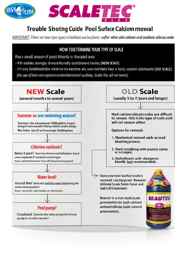 Pool Stain Remover EasyCare Scaletec Plus 64oz-4