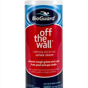 Pool Stain Remover BioGuard Liquid 16oz Model23613-0