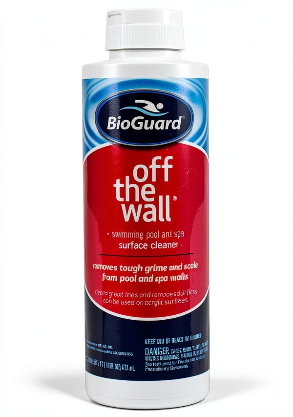 Pool Stain Remover BioGuard Liquid 16oz Model23613-0